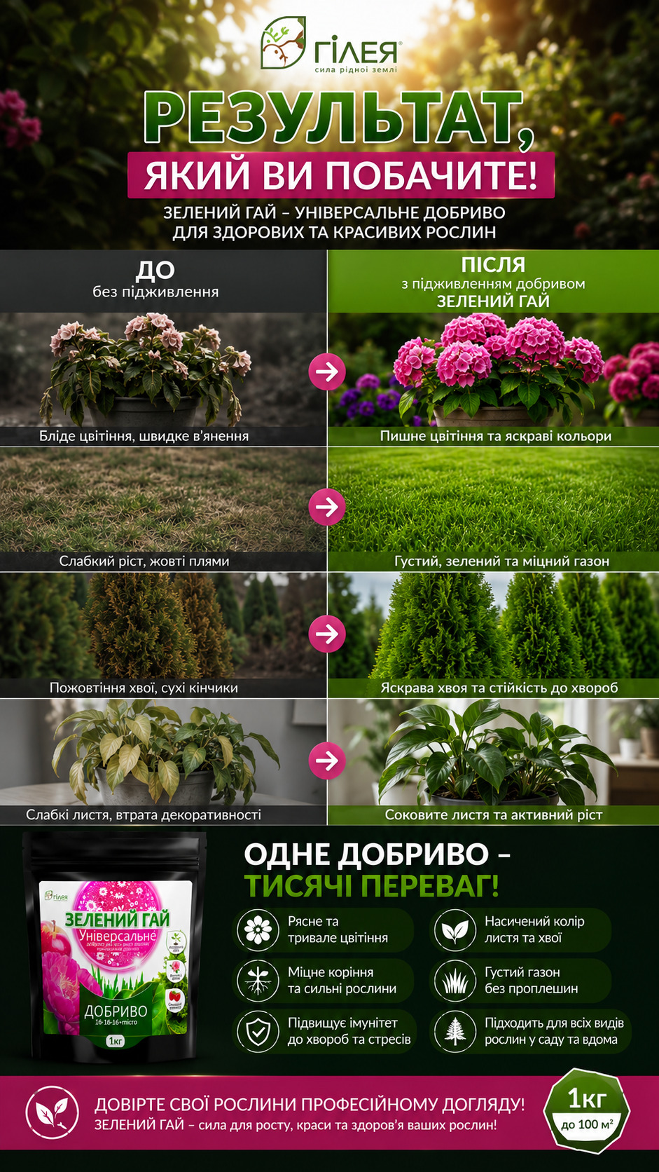 Стійкість сорту